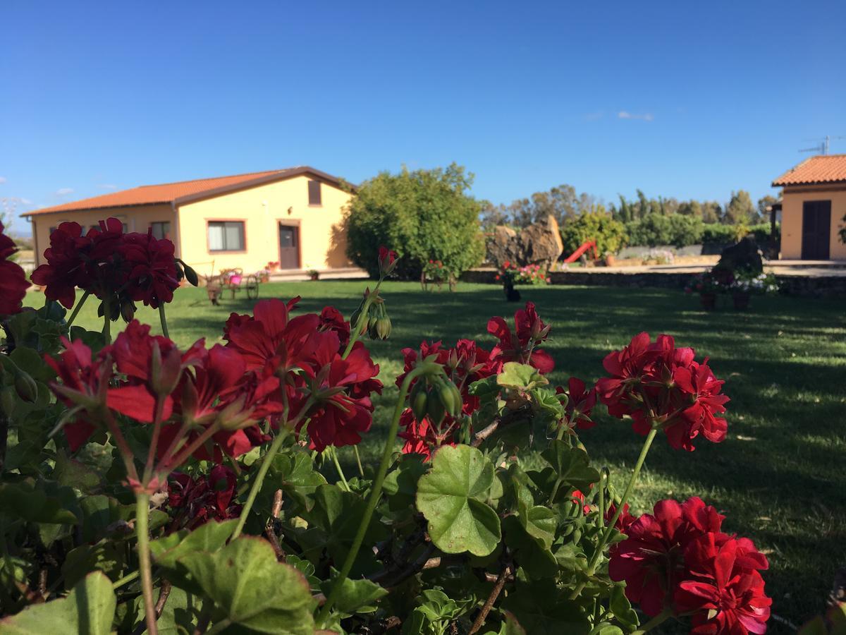 Agriturismo Sechi Campanedda Экстерьер фото